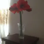 Binario39 Νάπολη