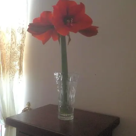 Binario39 Bed & Breakfast 3*